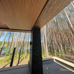 Application options for the Legro Wall Panels facade profile
