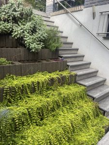 Projects of the season. The most beautiful and unique Woodplast composite board terraces