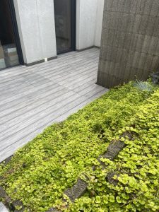 Projects of the season. The most beautiful and unique Woodplast composite board terraces