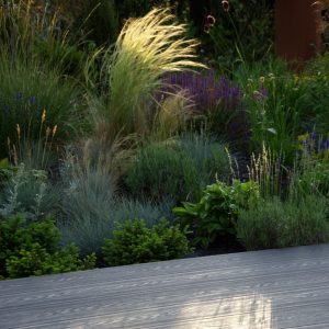 Projects of the season. The most beautiful and unique Woodplast composite board terraces